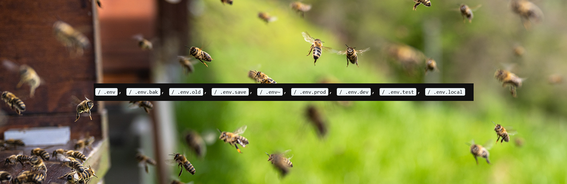 The first 30 days of a new domain in 2025