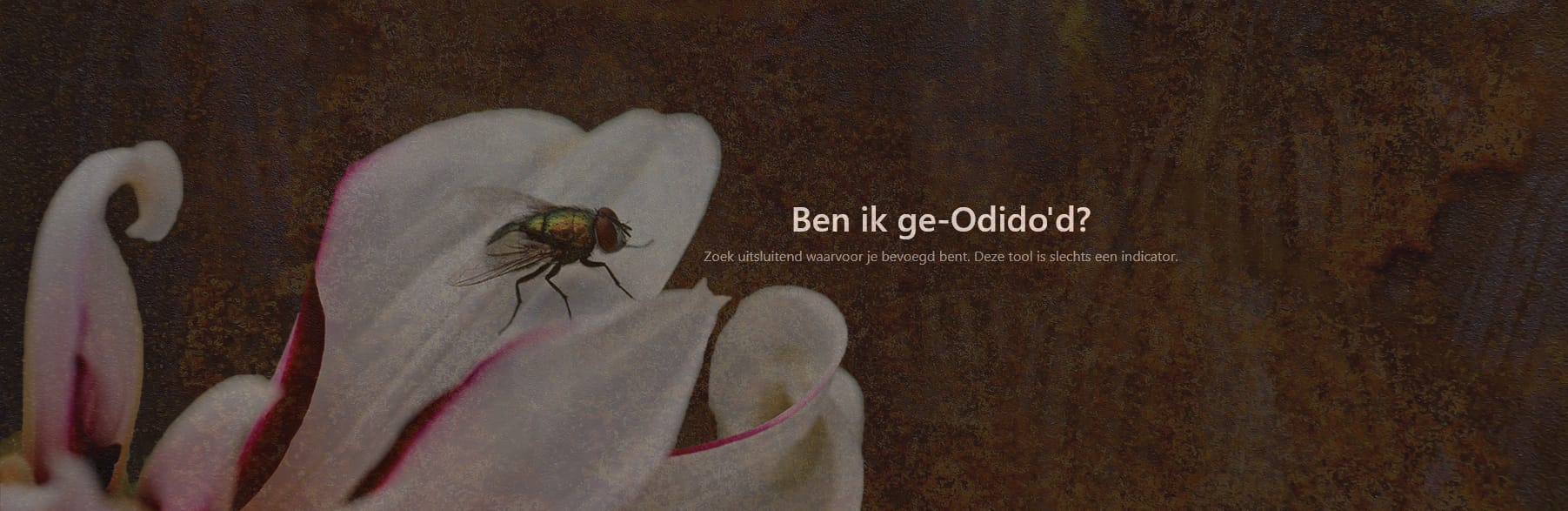 Autopsie van de tweedags-tool: “Ben ik ge-Odido’d?” (NL)