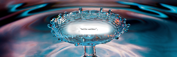 WALDUS: a curated, decentralized, tamper-evident, hybrid-chain LLM